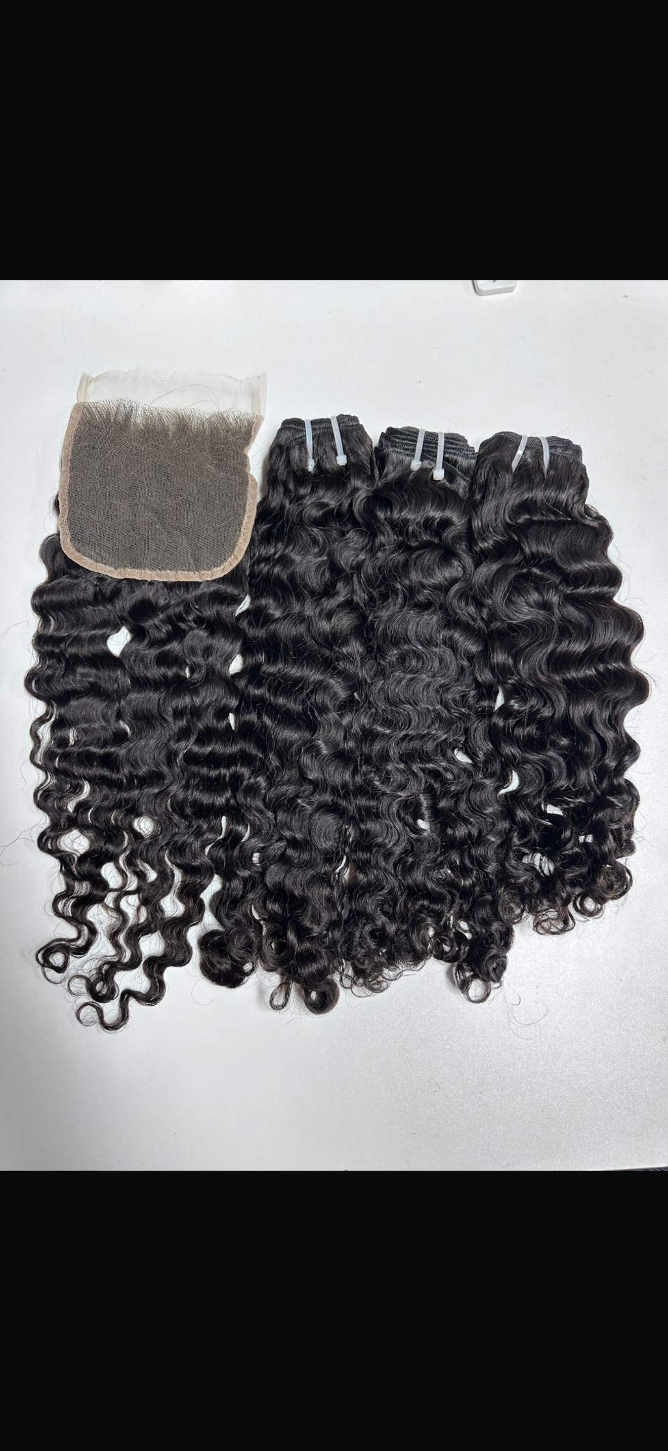 Burmese Curly